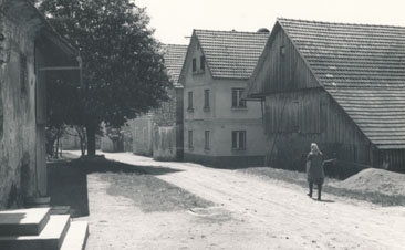 eika image